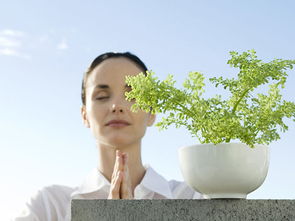 媒體曝光致明德產品創行業先河，引領中醫養生保健服務新潮流