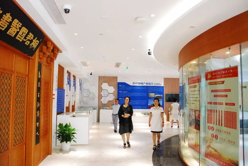 國(guó)標(biāo)調(diào)研進(jìn)行時(shí) 《健康管理養(yǎng)生保健服務(wù)基本規(guī)范》調(diào)研組深入江南養(yǎng)生文化村考察